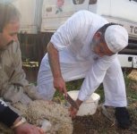 qurbani.jpg