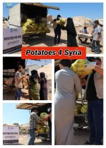 Collage 2021-10-01 16_24_11.jpg