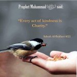 Every act of Kindness.jpg