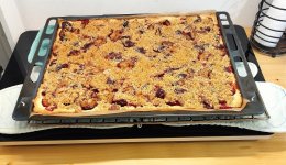 Zwetschgenkuchen — Plum Sheet-Cake.jpg Zwetschgenkuchen — Plum Sheet-Cake.jpg