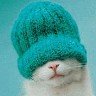 Amatullah_