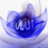 maisa
