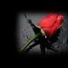 farhat