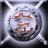 bin walid