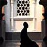 Talib-ul-Ilm