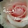 Aminah_92