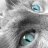KittyKat