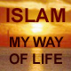 shudnt_have's Avatar