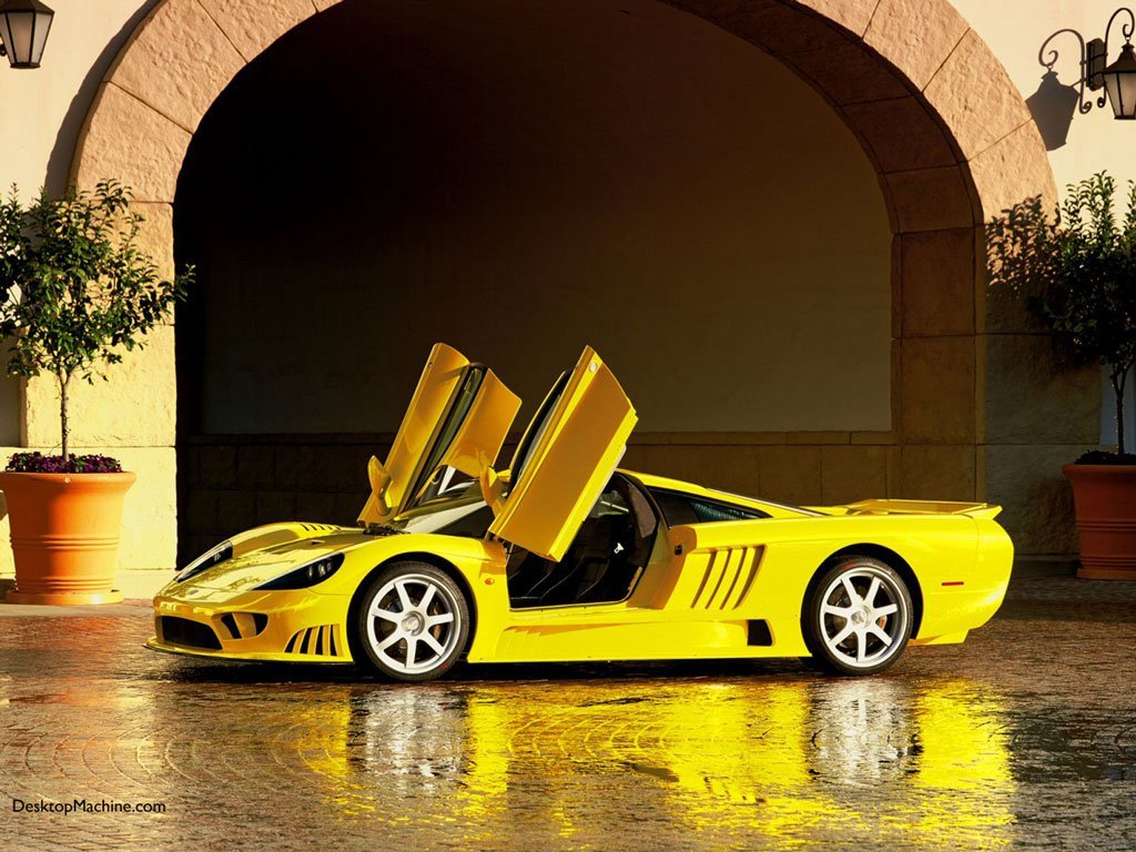 saleenS7011024-1.jpg