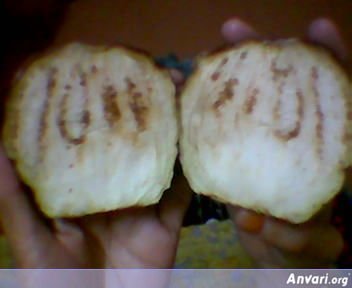 Eggplant__Umer_Hayat-1.jpg