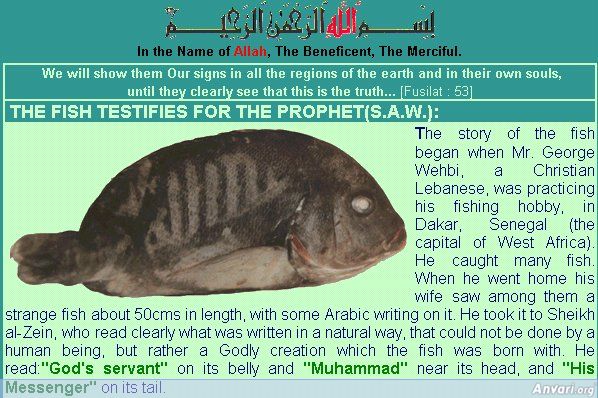 Islam_1-1.jpg