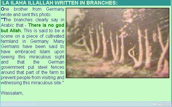 Islam_2-1.jpg