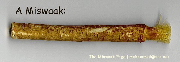 miswak 1 - The Siwaak