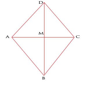 tri 1 - Math PROBLEM