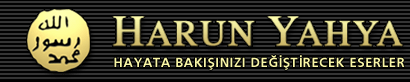 01banner1_hy-1.gif