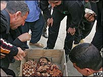 _41489298_coffin203-1.jpg