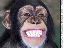 monkey03-1.jpg