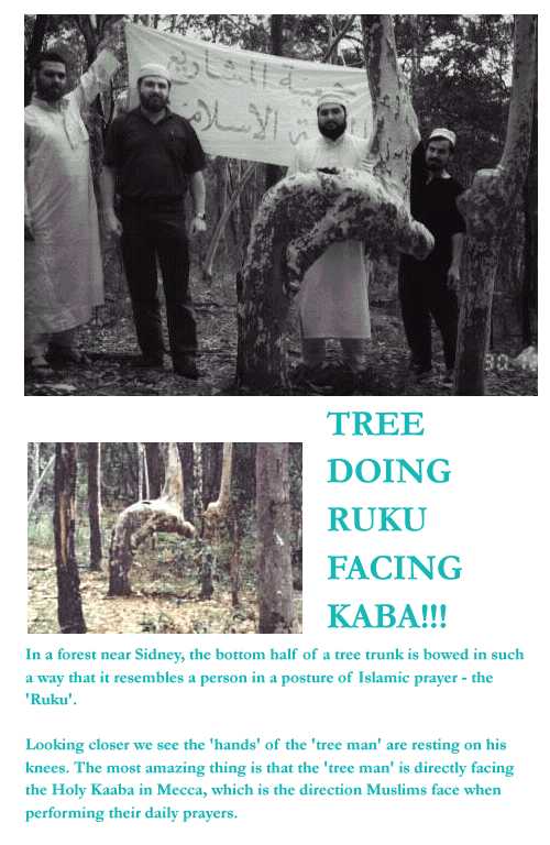 treerukubetter-1.jpg