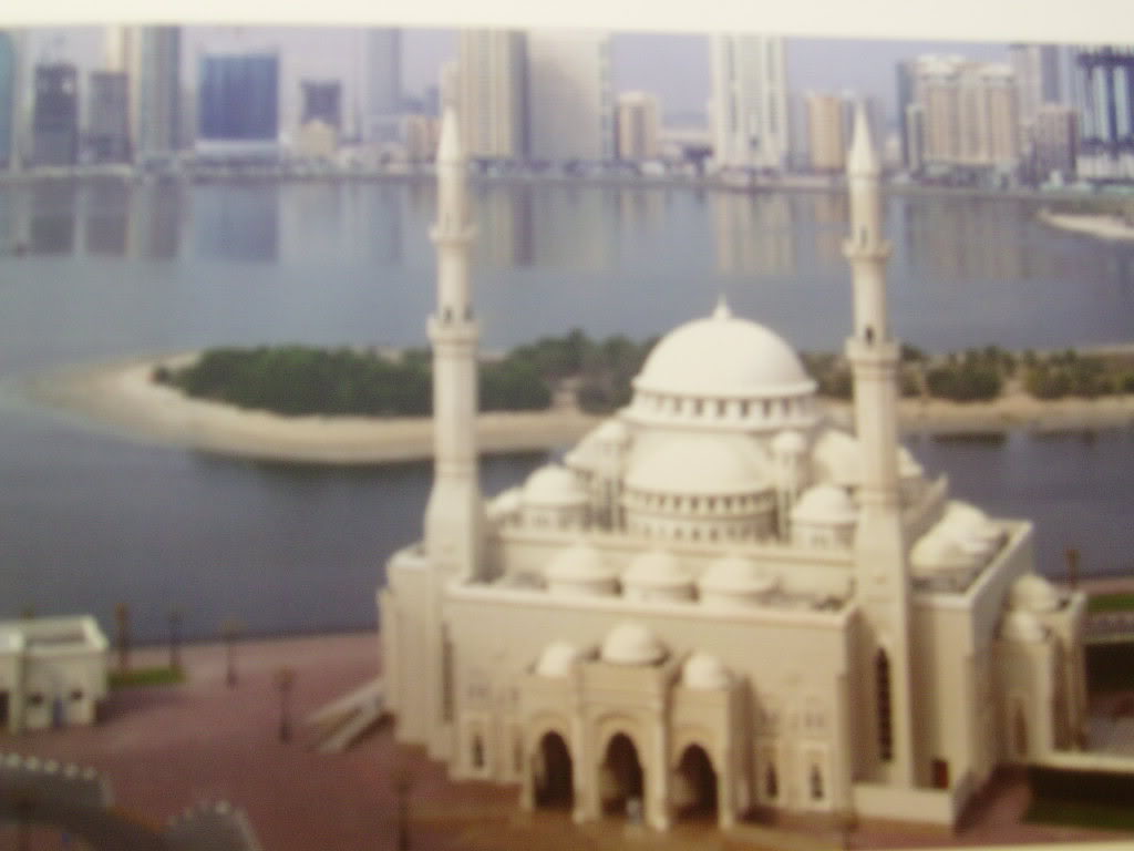 P1010028-1.jpg