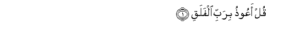 113_1-1.gif