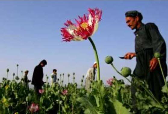 A003 1 - Invasion has not changed the economy of Afghan