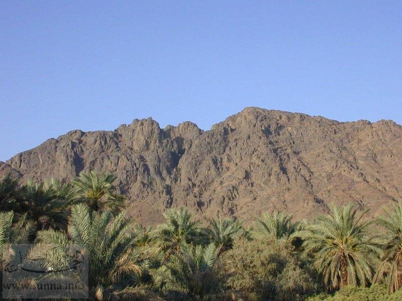 uhud9 3 - Pics of Saudi