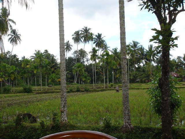 DSC02801-1.jpg