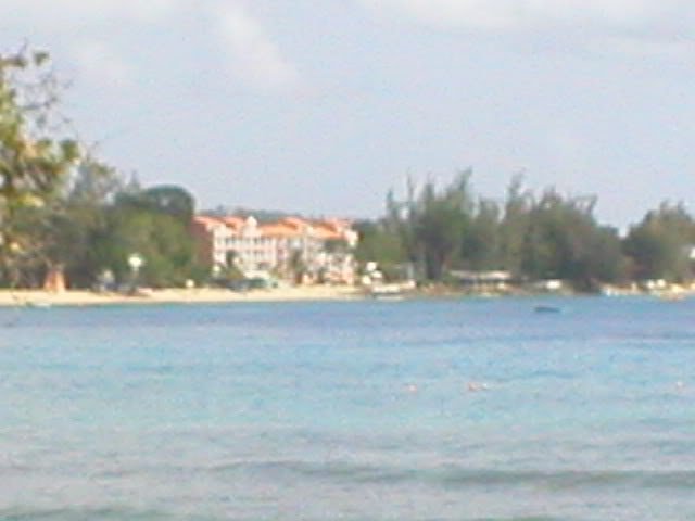 P7270007-1.jpg