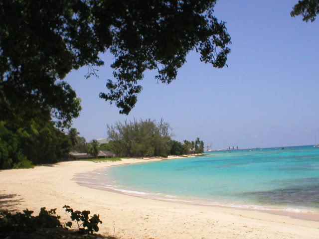 ParadiseBeach-1.jpg