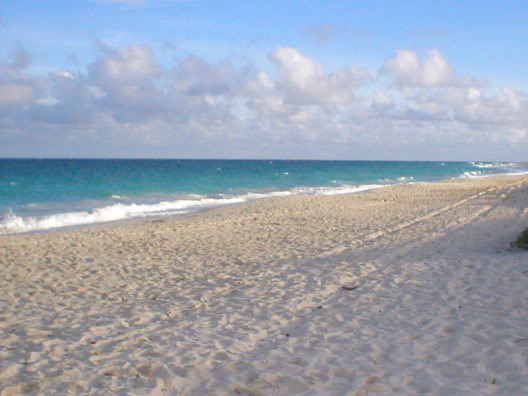 ScenerySilverSands2-1.jpg