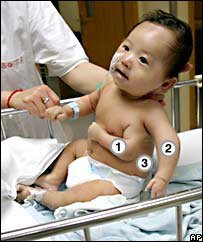 _41730448_jie_jie_203-1.jpg