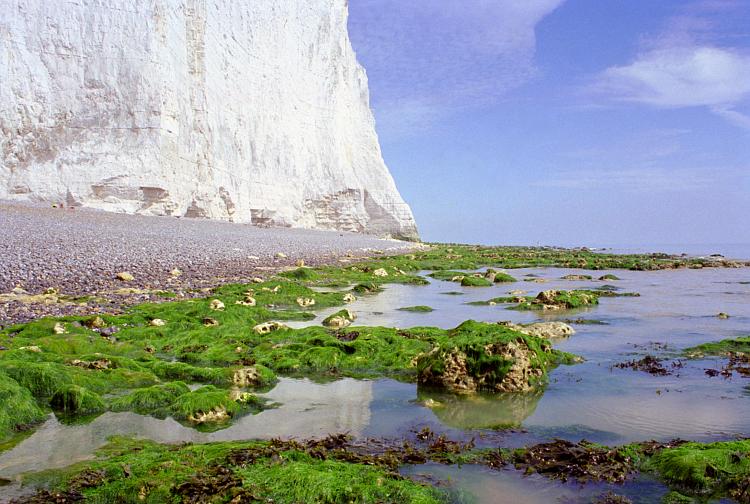 kent11-1.jpg