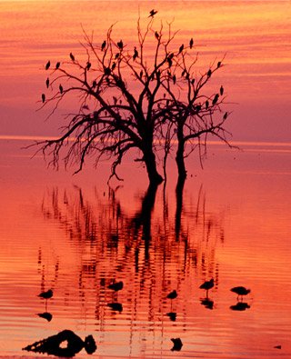 salton sea milt friend 320px 1 - Get your pictures with arabic context here!