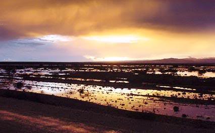 866790Beach_sunsetSomalia-1.jpg