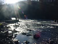 DSC00777-1.jpg