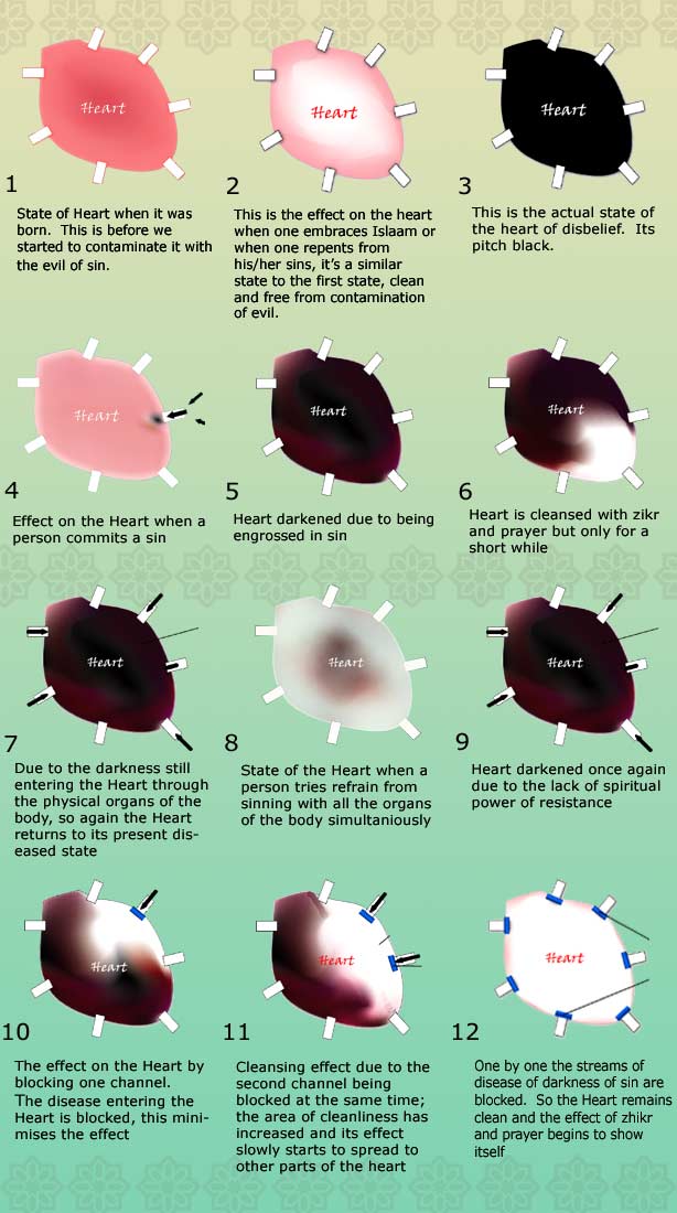 Firststage-1.jpg