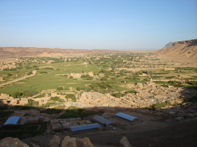 dammaj-1.jpg