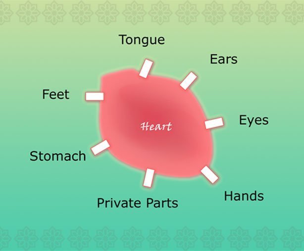heart_web-1.jpg