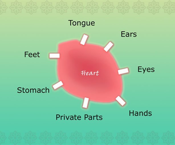 heart web 1 - QUESTION TIME.....the black spot in our heart!