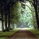 scenery028-1.jpg