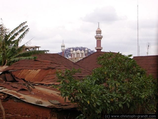 61New_kenya_slide_054-1.jpg