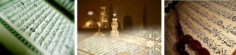 banner-2.jpg