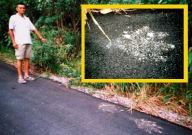 bigfootprints3-3.jpg