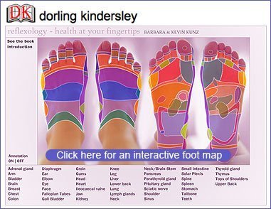 dk reflexology foot l 2 - Amazing Cures - Natures' Way