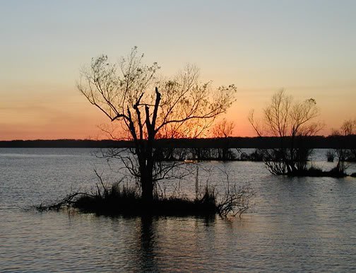 swamp_sunset-3.jpg