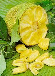 fruitjackfruit-4.jpg
