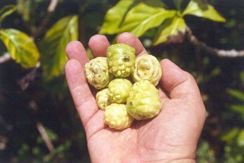 z_trimera_fruits-3.jpg