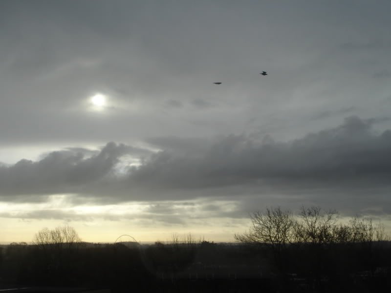 DSC00141-1.jpg