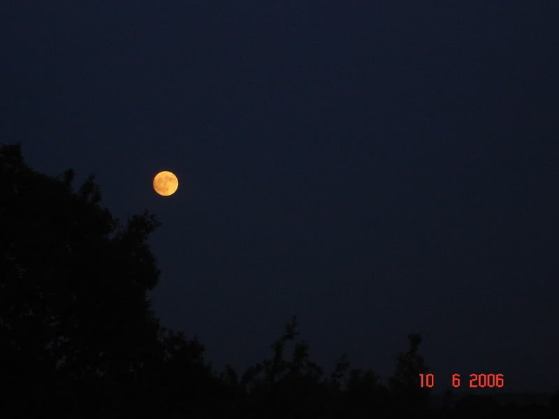 DSC00927-1.jpg