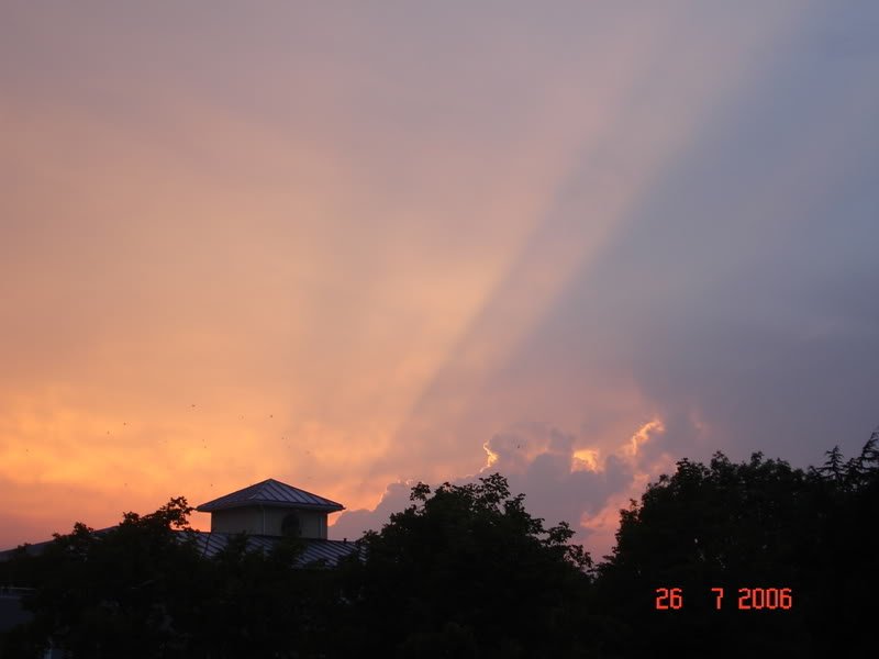 DSC01232-1.jpg